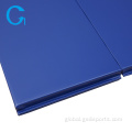 Foldable Gymnastics Mat Personalized Foldable Gymnastics Tumbling Gym Mats Supplier